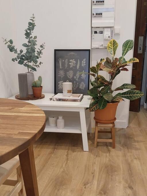 Appartement Place Des Terreaux Lyon Dış mekan fotoğraf